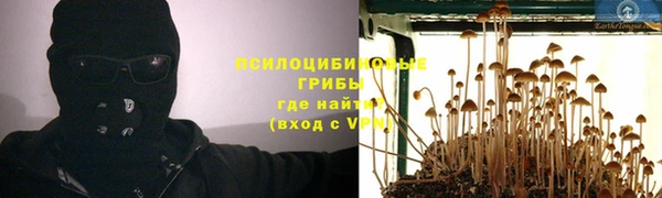 шишки Тында