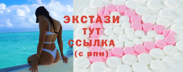 шишки Тында
