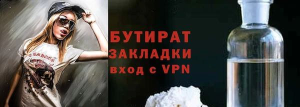 шишки Тында