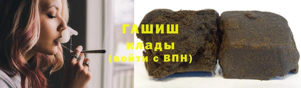 шишки Тында
