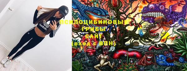 а пвп мука Туринск