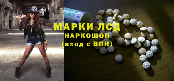 шишки Тында