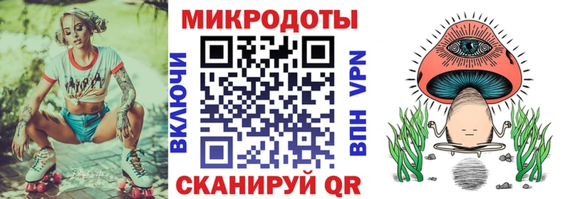 Псилоцибиновые грибы Psilocybe  сайты даркнета наркотические препараты  Новотитаровская  где продают наркотики 